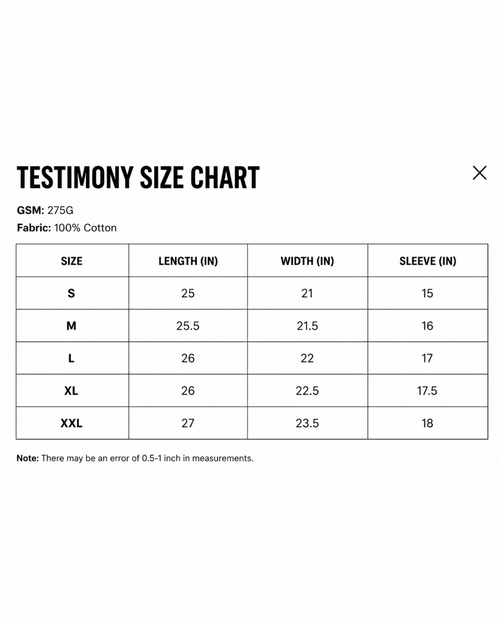 testimoNY tee